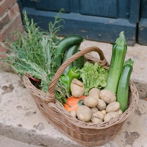 legume-chateau-activites-bouthonvillier