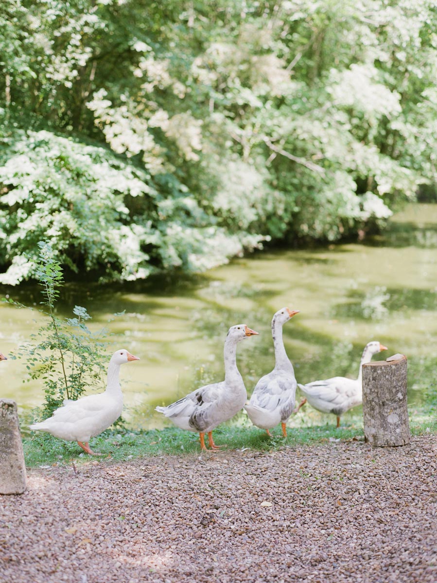 View More: http://abbygracephotography.pass.us/tsa-2018