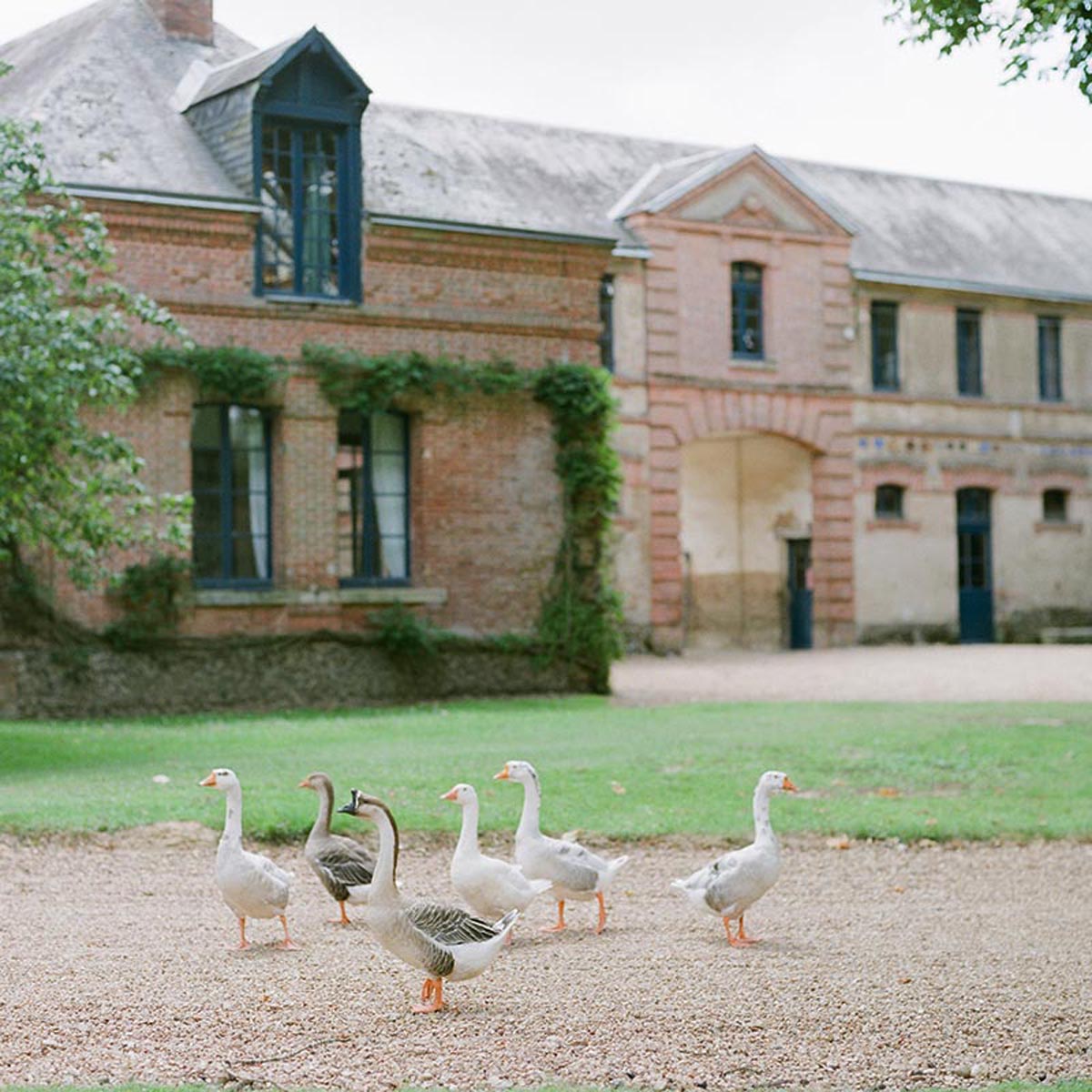 domaine-bouthonvillier-exterieur_2